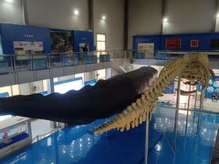 -上海海洋大学鱼文化博物馆(军工路校区)