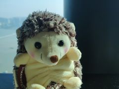 -澳门旅游塔360°旋转餐厅(南湾湖广场店)