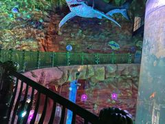 -青岛嘉年华主题乐园