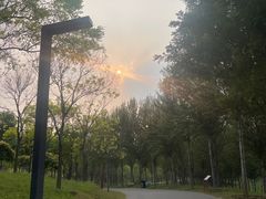 -东郊湿地公园