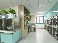 -睿金宠物医院·CT·肿瘤·骨外科