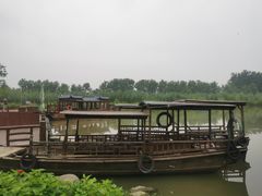 -池杉湖湿地公园