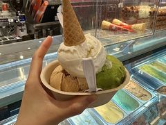 -极拉图·现制冰淇淋(大卫城店)