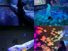 -顺德南宏海立方海洋公园