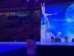-海心沙亚运公园