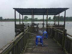 -东方绿舟景区