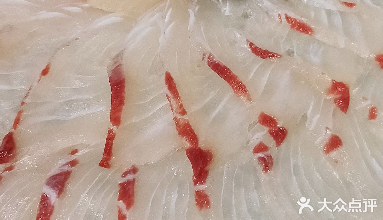 【深海鱼生95】