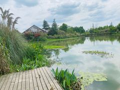 -桤木河湿地公园