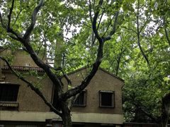 -猛犸手作·皮具·diy团建·礼品定制(新华路店)