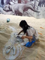 -恐龙探索乐园(磁器口店)