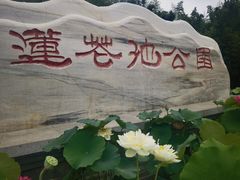 -莲花池公园