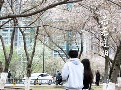 -西北湖绿化广场