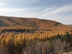 -塞罕坝国家级自然保护区