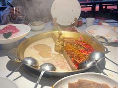 -小龙翻大江文化火锅(宽窄店)