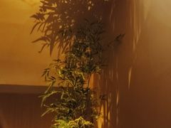 -宁采臣Sleep·采耳·SPA放松馆(湖里万达店)