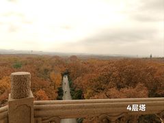 -灵谷景区