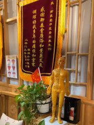 -御森堂. 中医养生. 美容按摩