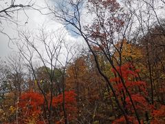 -天女山森林公园