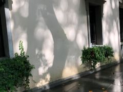 -也枫·小黄楼(南山路旗舰店)