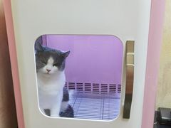 -喜洋洋宠物医院(震川路总店)