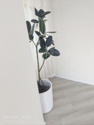 -HEYAN荷妍专业脱毛连锁机构