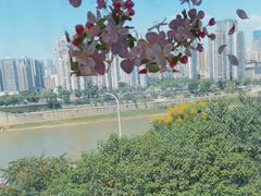 -李子坝梁山鸡(李子坝大鸡哥店)