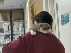 -瑞派康怡24h宠物医院·犬猫医疗中心·微创绝育(瑞景分院)
