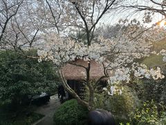 -中国茶叶博物馆(双峰馆区)
