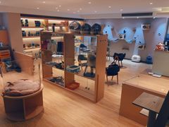 -Pets First伊珊娜洗护·精致美容·家庭式寄养(新会路店)