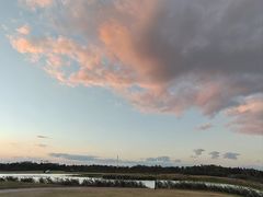 -春花秋色城市公园