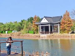 -映月湖公园