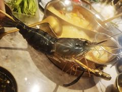 -琥珀川糟粕醋火锅(慈云寺店)