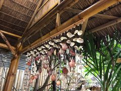 -Jungle Kitchen