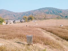 -黄记煌三汁焖锅(新世纪广场店)