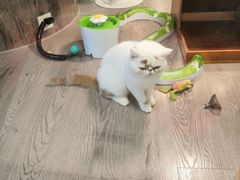 -宠物世家(仲盛世界商城店)