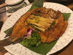 -紫滇源云南生态菜(丹凤街店)