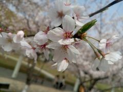 楼前-公益图书馆(江南大学店)