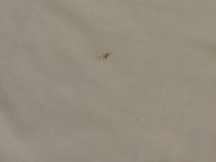 莫泰168(天山路店)-莫泰酒店(上海虹桥北新泾地铁站天山路店)