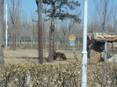 -秦皇岛野生动物园