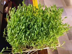 活豆苗-湊湊火锅·茶憩(上海合生汇店)