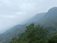 -缙云山景区