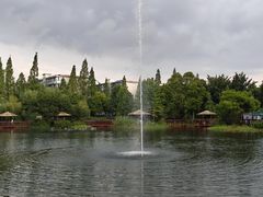 -成飞公园