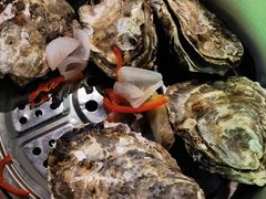 高压锅生蚝-小竹签烤肉纸包鱼小龙虾(唐韵路店)