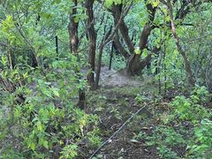 -香炉山国家森林公园
