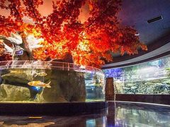 -成都浩海立方海洋公园