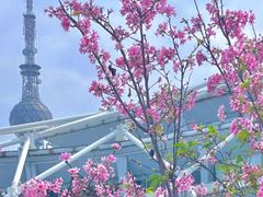 -文华公园(禅城区)