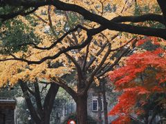 -苏州大学(天赐庄校区)