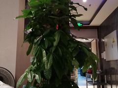 -顺德佬(石厦店)