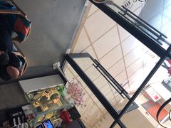 -MIAO COFFEE