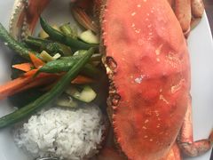 -Fish Hopper